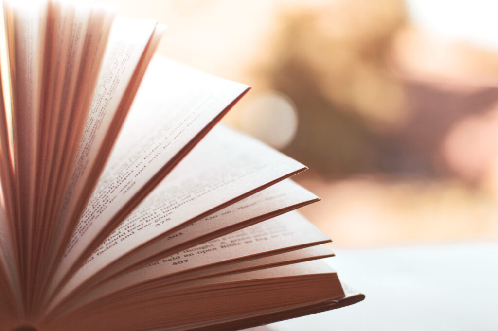 Libros de viajes por el mundo