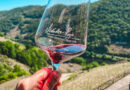 Ruta por las Bodegas de la Ribeira Sacra