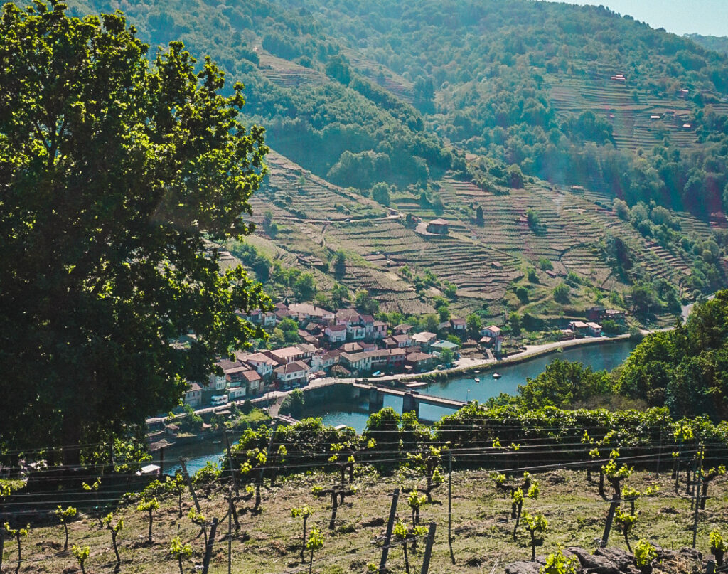 Ruta por las Bodegas de la Ribeira Sacra