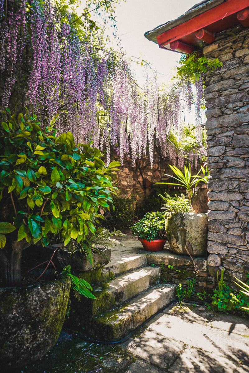 Ruta por las Bodegas de la Ribeira Sacra