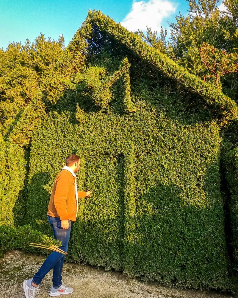 Jardines gallegos en otoño: ¡Descubre un mundo de colores!