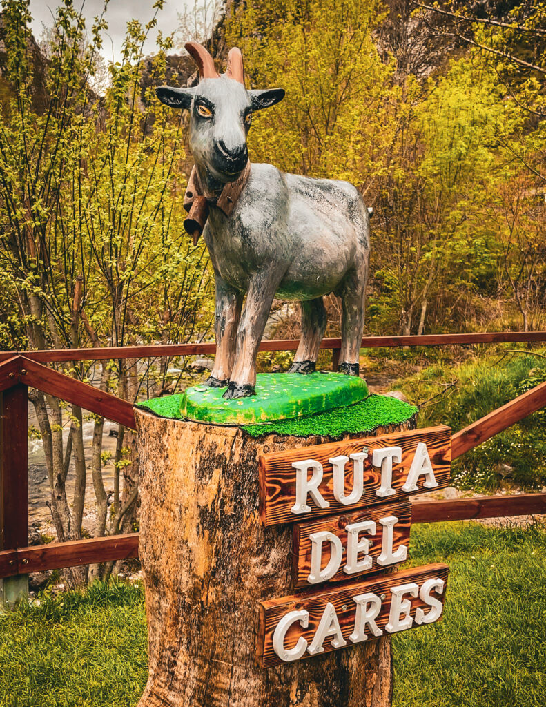 Ruta del Cares: Guía para el sendero más épico de España