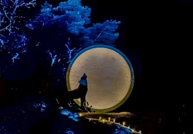 Floresta Encantada: Navidad Mágica en Portugal