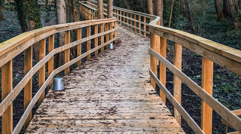 Qué ver y hacer en Celanova