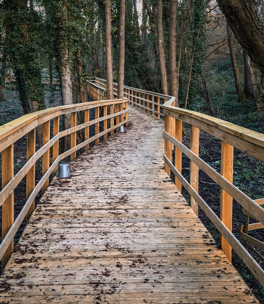 Qué ver y hacer en Celanova