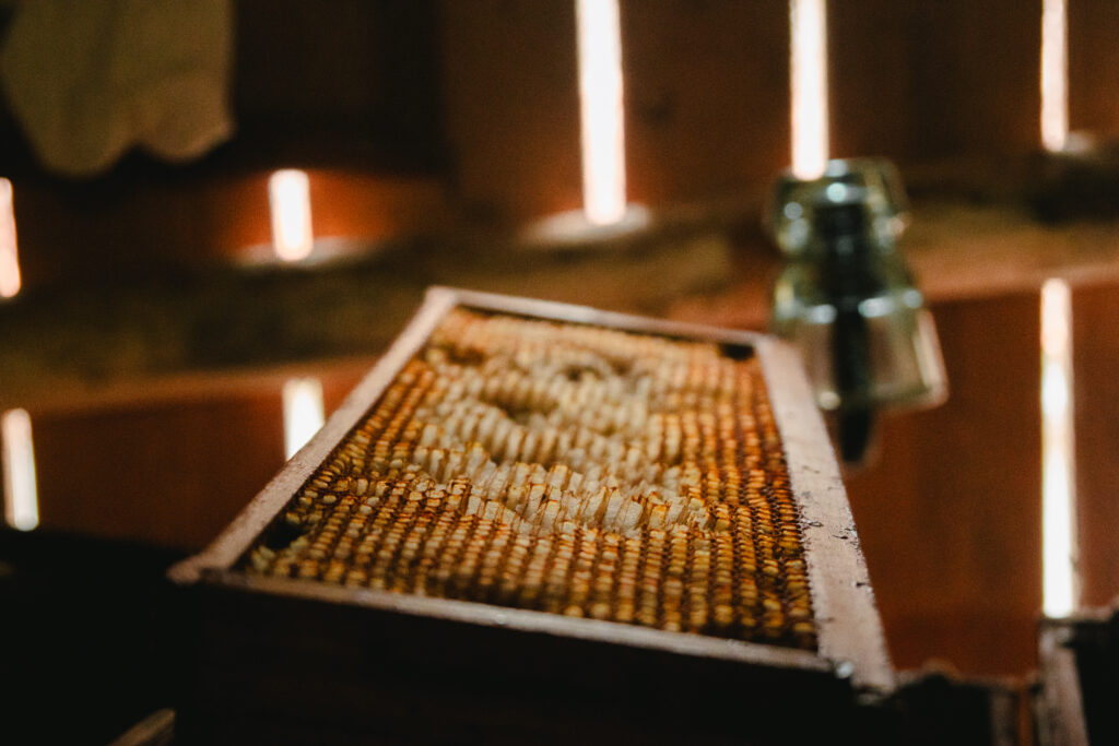 Outono Gastronómico Galicia 2026